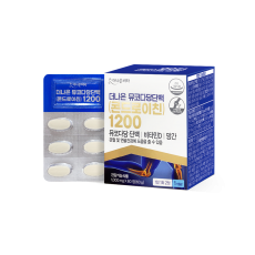 더나은뮤코다당단백콘드로이친 1200 1,000mg*60T